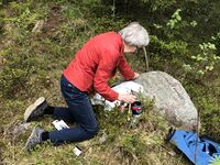 Marit Lindback fra Skedsmo Historielag gjenoppfrisker teksten på Skansesteinen i 2021. "Her stanset bønder og soldater Carl XII under hans marsj gjennem Skedsmo 1716." Foto Steinar Bunæs.