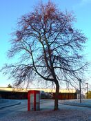 Telefonkiosk ved Henie-Onstad Kunstsenter. Foto: Heidi Thöni Sletten (2015).