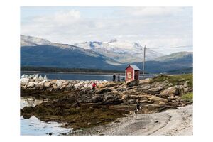 Kabelhus i Telegrafbukta