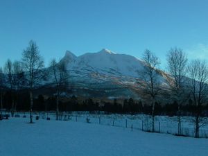 Tellingen Beiarn 01.jpg