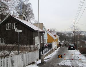 Telthusbakken Oslo 2013.jpg
