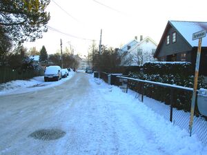 Terneveien Oslo 2014.jpg