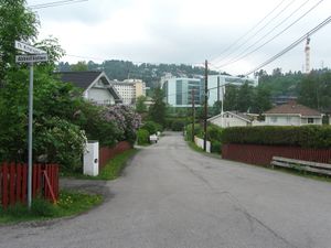 Th. Kittelsens vei Oslo 2014.jpg