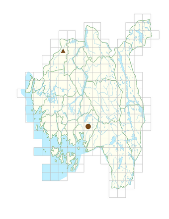 Thalictrum aquilegifolium.png
