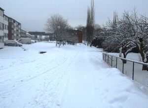 Theodor Dahls vei Oslo 2015.jpg