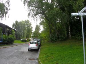 Theodor Løvstads vei Oslo 2014.jpg