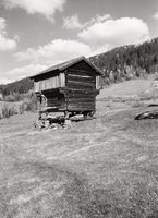 12. Thoen, Buskerud Buskerud - Riksantikvaren-T056 01 0065.jpg