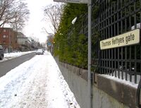 Thomas Heftyes gate på Frogner i Oslo ble navngitt i 1891. Foto: Stig Rune Pedersen
