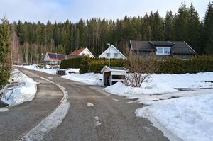 Thomasine Lies veg Kongsvinger 2025.jpg