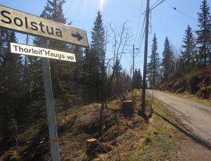 Thorleif Haugs vei Oslo 2012.JPG