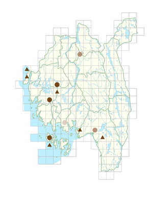 Thuja occidentalis.png