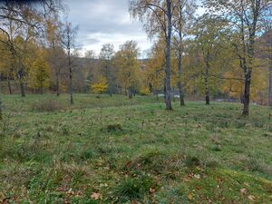 Tillessletta Bærum.jpg