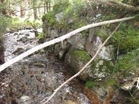 Brukara til den gamle Timrudbekkbrua som vart avløyst før 1907. (Foto: Olav Momrak-Haugan, 2009)
