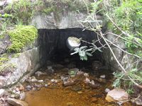 Ny veg og ny bru over Timrudbekken vart bygd ferdig like før 1907. Denne vart utvida nedstraums med eit røyr i 2009.(Foto: Olav Momrak-Haugan, 2009)