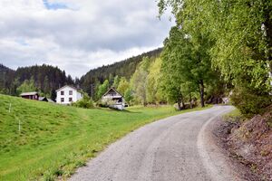 Tinn, Dårudvegen-1.jpg