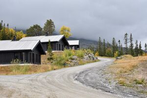 Tinn, Fyrieggvegen-1.jpg