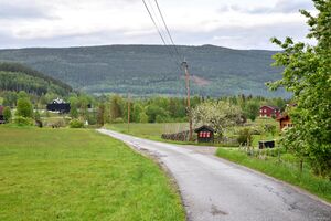 Tinn, Husevollvegen-1.jpg