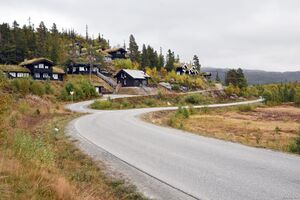 Tinn, Kvitåvatnvegen-1.jpg