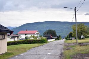 Tinn, Skogvegen-1.jpg