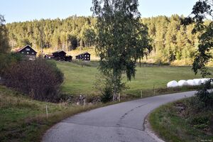 Tinn, Tveitovegen-1.jpg