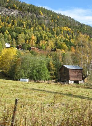 Tinn Luraasgrend 2012a.jpg