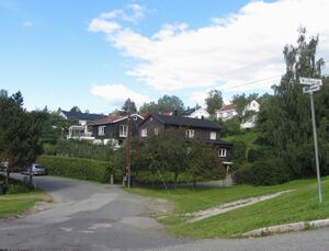 Tirilveien Oslo 2013.jpg