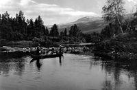 Tjæra ble tappet i tønner og fløtet ned Reisaelva for salg hos handelsmannen i Sørkjosen Foto: Nord-Troms museum (rundt 1930).