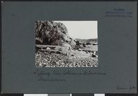 141. Tjølling. Ula lodshamn. Grøteviken - no-nb digifoto 20160317 00366 bldsa NGU0047.jpg