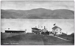 Tjøne i Nissedal.jpg