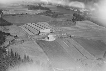 Tjernsby nordre gnr. 4 4 Nestby Kongsvinger kommune 1957.jpg