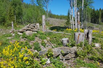 Tjernsli nedre under Grønnerud Kongsvinger.jpg