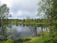 Tjurumtjern (be-2008-07-17-IMG 2359).JPG