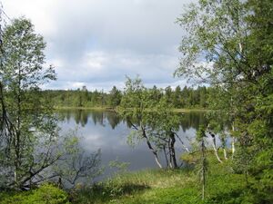 Tjurumtjern (be-2008-07-17-IMG 2359).JPG