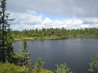 Tjurumtjern (be-2008-07-17-IMG 2363).JPG