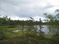 Tjurumtjern (be-2008-07-17-IMG 2364).JPG