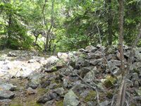 Tjurumtjern skjerp (be-2008-07-17-IMG 2368).JPG