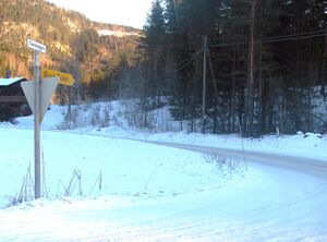 Toenvegen Veggli 2014.jpg