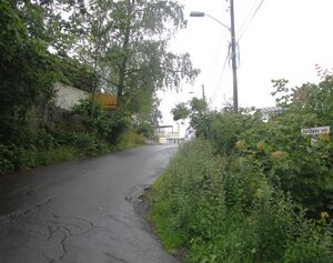 Toftdahls vei Oslo 2015.jpg