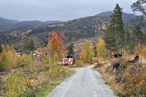 Tokke, Åmdals Verk, Åmdalsvegen-1.jpg