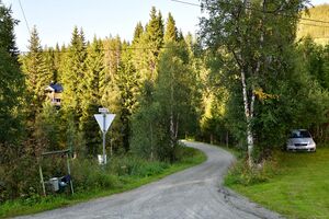 Tokke, Bilstadvegen-1.jpg