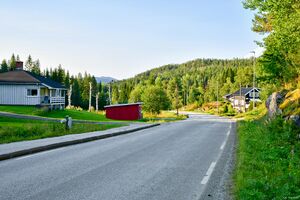 Tokke, Skafsåvegen-1.jpg