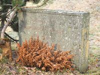 234. Tolstoj Haslum grvm.JPG