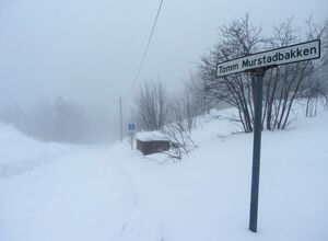 Tomm Murstadbakken Oslo 2014.jpg