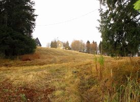 Tommkleiva om sommeren. Foto: Stig Rune Pedersen (2015).