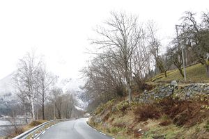 Tomta der Esefjorden skule sto.jpg