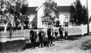 Tomten-0414-04149-Anno Domkirkeodden .jpg