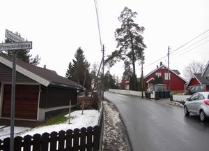 Toppåsveien Oslo 2014.jpg