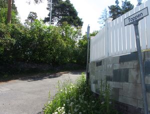 Toppen vei i Oslo 2014.jpg