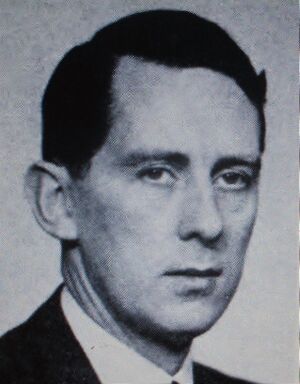 Tor Skjønsberg foto.JPG