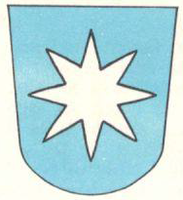 Skjold i Toreid ættens slektsvåpen fra Norske slektsvåpen (1969) og fargelagt senere. Tegnet av Hans Cappelen.